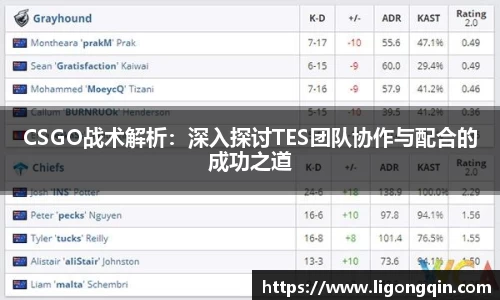 CSGO战术解析：深入探讨TES团队协作与配合的成功之道