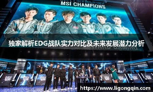 独家解析EDG战队实力对比及未来发展潜力分析