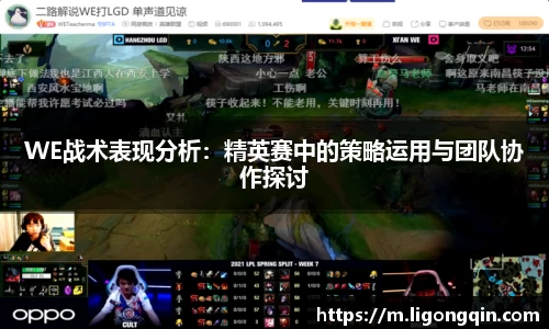 WE战术表现分析：精英赛中的策略运用与团队协作探讨