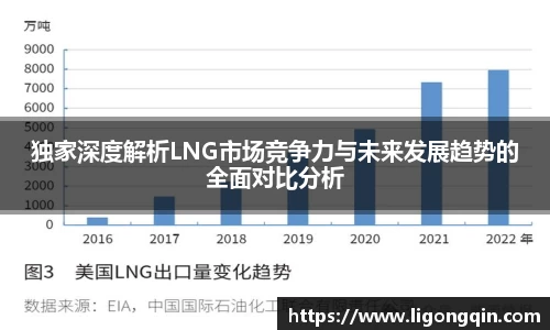 独家深度解析LNG市场竞争力与未来发展趋势的全面对比分析
