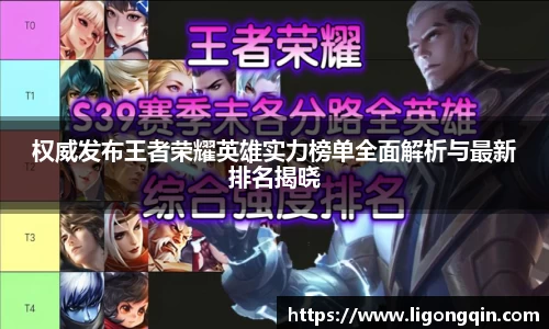 权威发布王者荣耀英雄实力榜单全面解析与最新排名揭晓