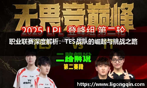 职业联赛深度解析：TES战队的崛起与挑战之路
