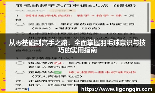 从零基础到高手之路：全面掌握羽毛球意识与技巧的实用指南