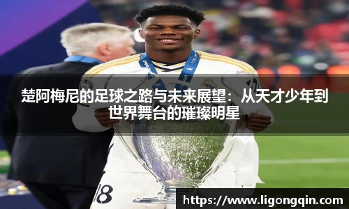 米兰体育app