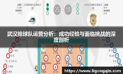 武汉排球队运营分析：成功经验与面临挑战的深度剖析